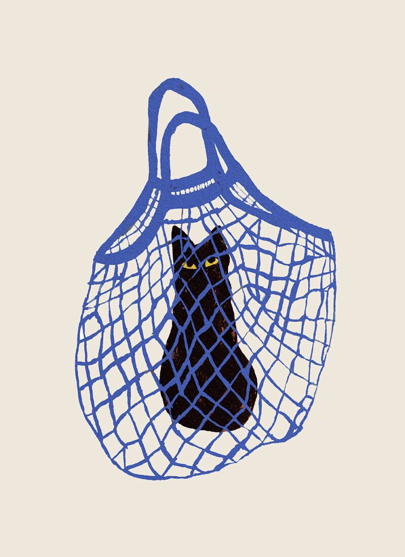 The cat's in the bag poster 30x40 cm