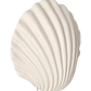 Veggljós Shelley